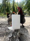 Chick/Grit Feeder with Removable Cap