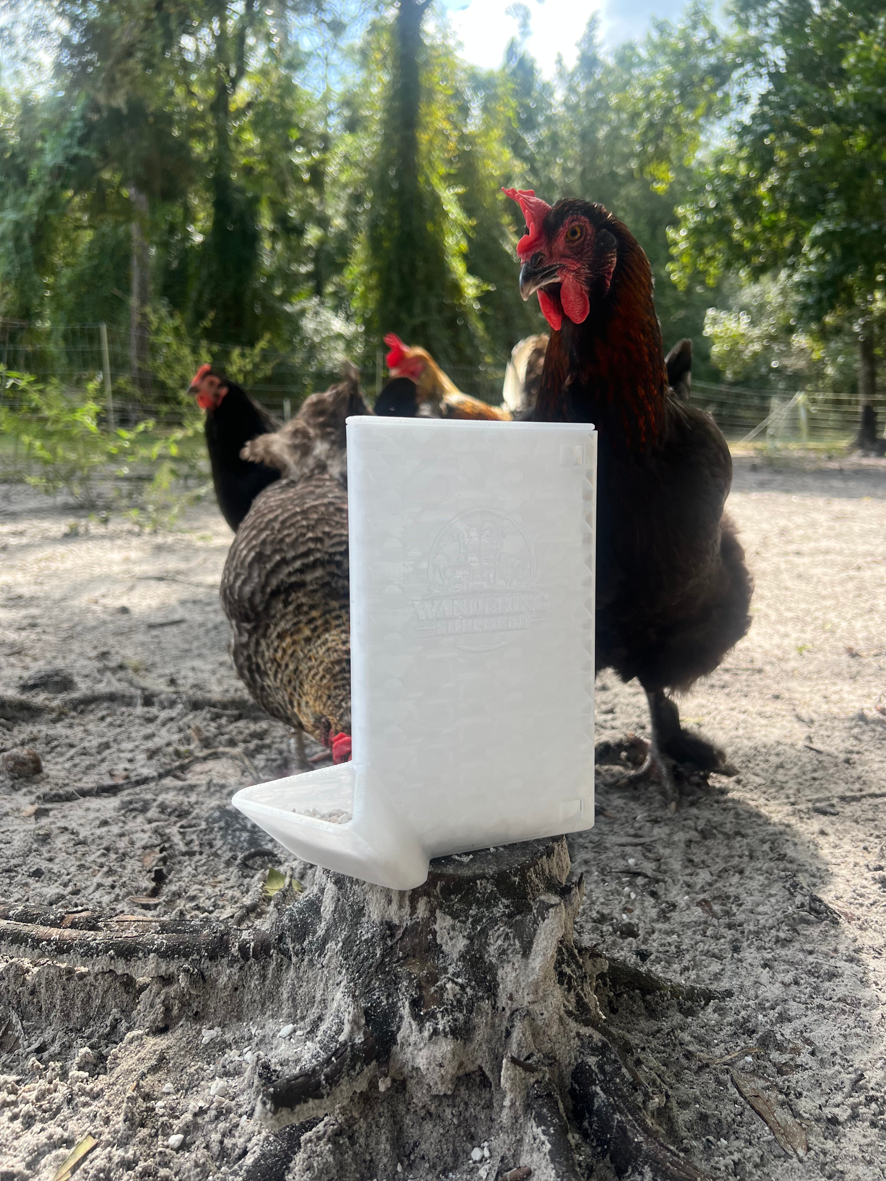 Chick/Grit Feeder with Removable Cap